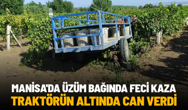 Manisa'da üzüm bağında feci kaza