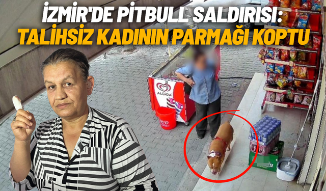 İzmir'de pitbull saldırısı: Talihsiz kadının parmağı koptu