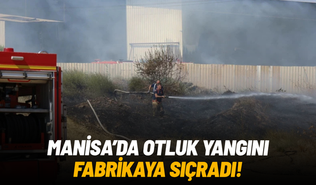 Manisa’da otluk yangını fabrikaya sıçradı: 2 yaralı