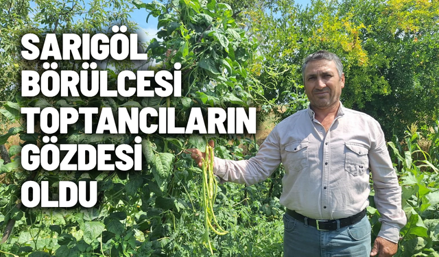 Börülce üreticisinin yüzü gülüyor