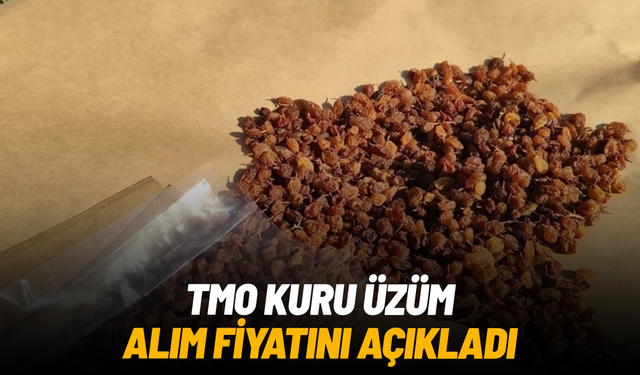 SON DAKİKA... TMO kuru üzüm alım fiyatını açıkladı