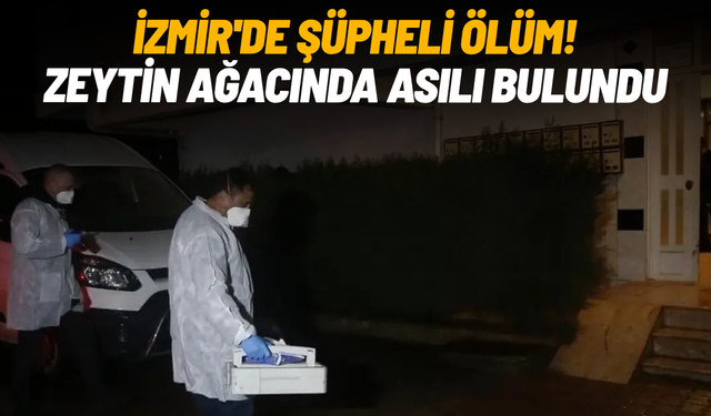 İzmir'de şüpheli ölüm! Zeytin ağacında asılı bulundu