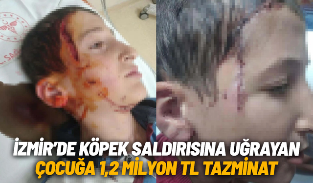 İzmir’de köpek saldırısına uğrayan çocuğa 1,2 milyon TL tazminat