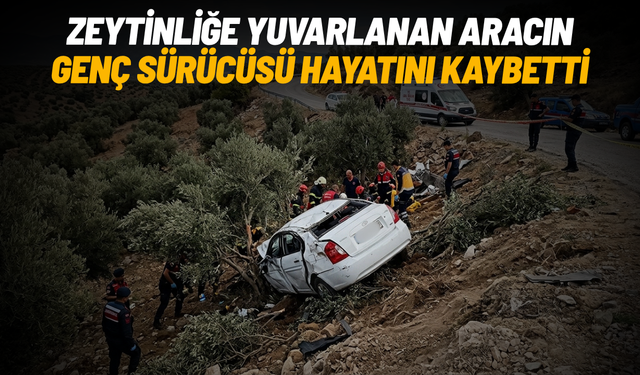 Zeytinliğe yuvarlanan aracın genç sürücüsü hayatını kaybetti