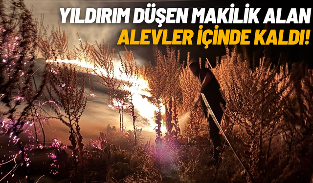 Yıldırım düşen makilik alan alevler içinde kaldı