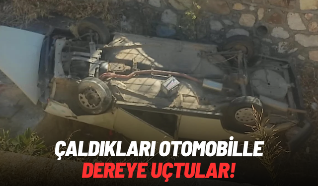 Çaldıkları otomobille dereye uçtular