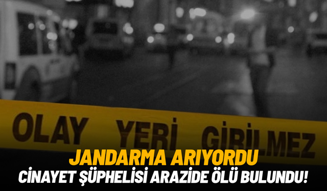 Jandarma arıyordu: Cinayet şüphelisi arazide ölü bulundu!