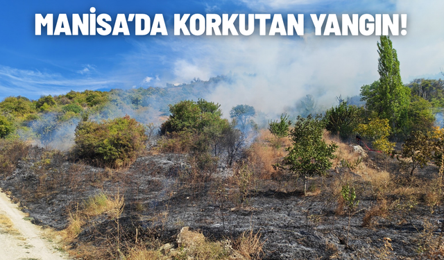 Yol kenarında başlayan yangın ormanlık alana sıçradı