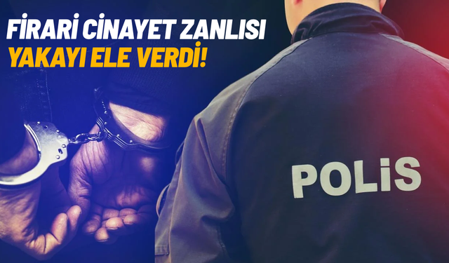 Firari cinayet zanlısı jandarmaya yakalandı!