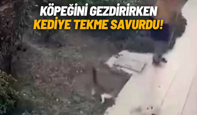 Köpeğini gezdiren şahıs kediyi teklemedi!
