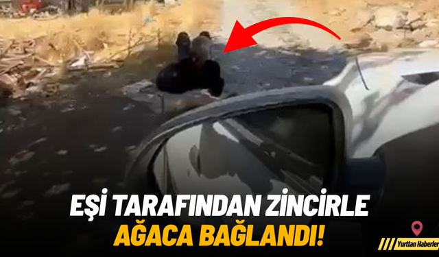Eşi tarafından zincirle ağaca bağlandı!