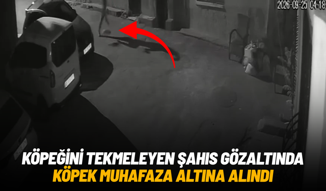 İzmir’de köpeğini tekmeleyen şahıs gözaltına alındı