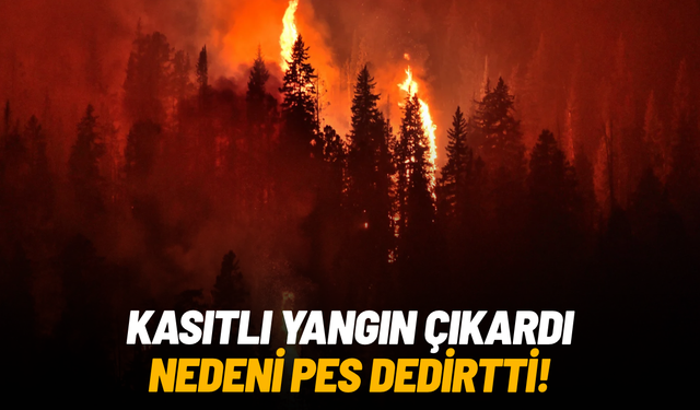 Kasıtlı yangın çıkardı: Sebebi pes dedirtti