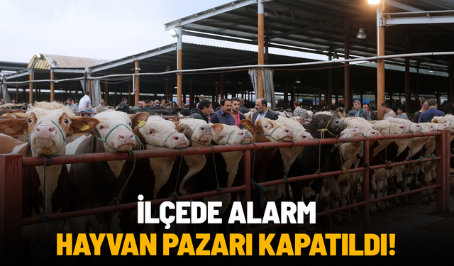 Kula’da şap hastalığı alarmı: Hayvan pazarı kapatıldı