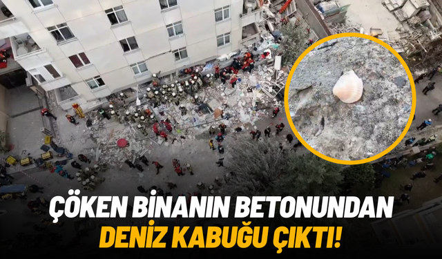 Maltepe’de 5 kişinin öldüğü binanın betonundan deniz kabuğu çıktı