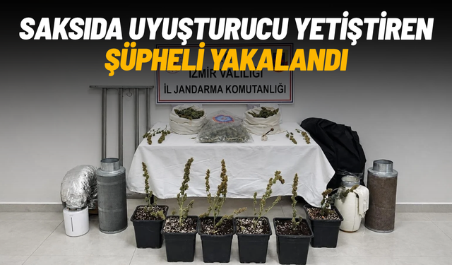 Saksıda uyuşturucu yetiştiren şüpheli yakalandı