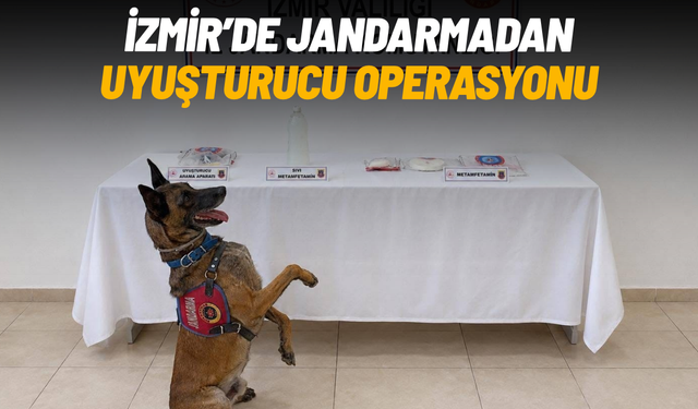 İzmir’de jandarmadan uyuşturucu operasyonu