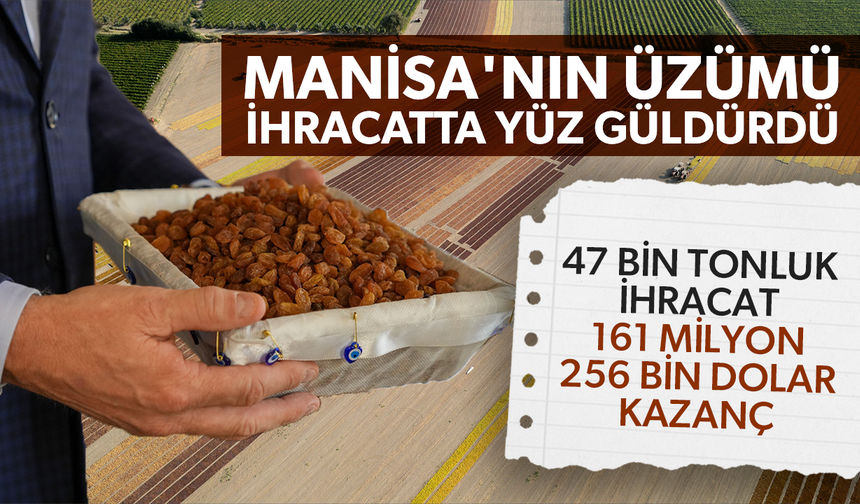 Üzümde rekolte düşük, ihracat geliri yüksek