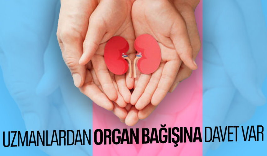 Uzmanlardan organ bağışına davet var