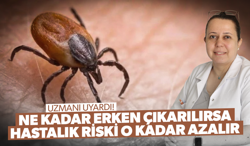 Kene ne kadar erken çıkarılırsa hastalık riski o kadar azalır