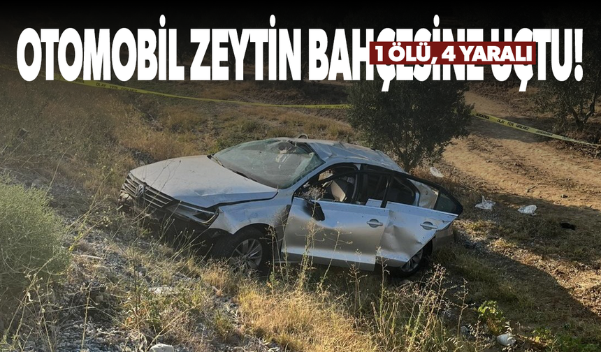 Otomobil zeytin bahçesine uçtu! 1 ölü, 4 yaralı