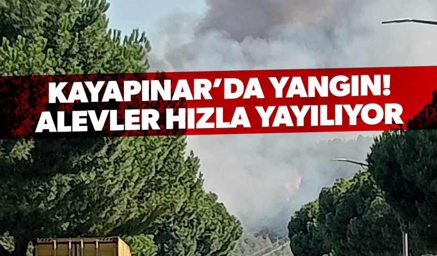 Kayapınar’da yangın alarmı: Alevler hızla yayılıyor!
