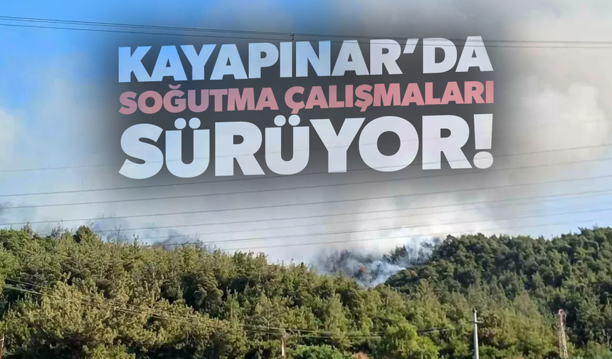 Kayapınar yangınında soğutma çalışmaları devam ediyor