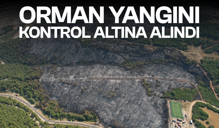 Manisa'daki orman yangını kontrol altına alındı