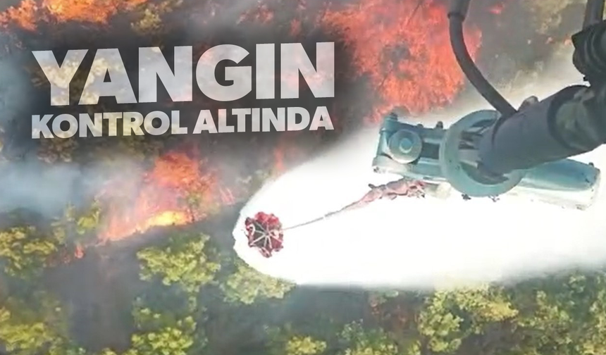 Manisa'daki orman yangını kontrol altına alındı