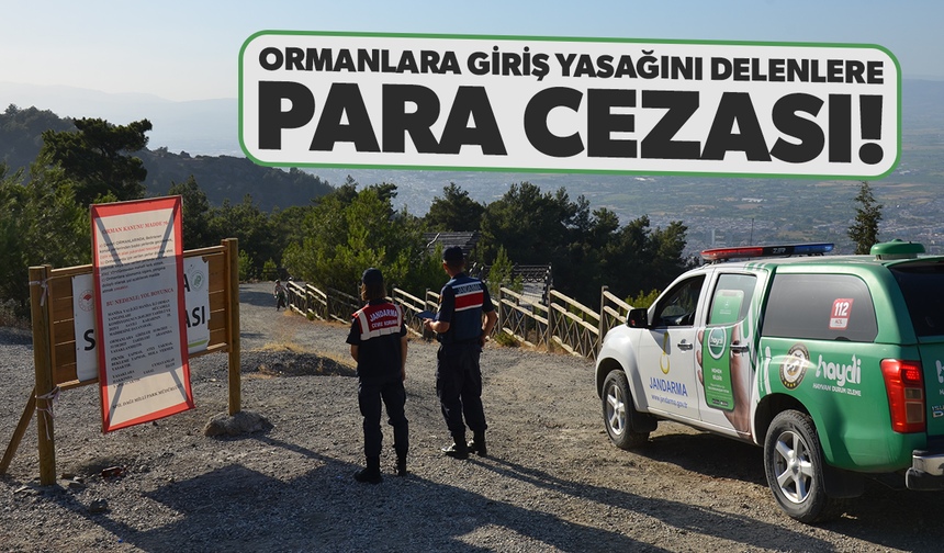 Ormanlara giriş yasağını delenlere para cezası