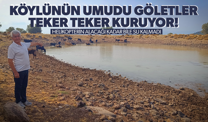 Köylünün umudu göletler bir bir kuruyor