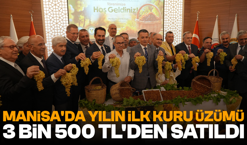 Manisa'da yılın ilk kuru üzümü 3 bin 500 TL'den satıldı