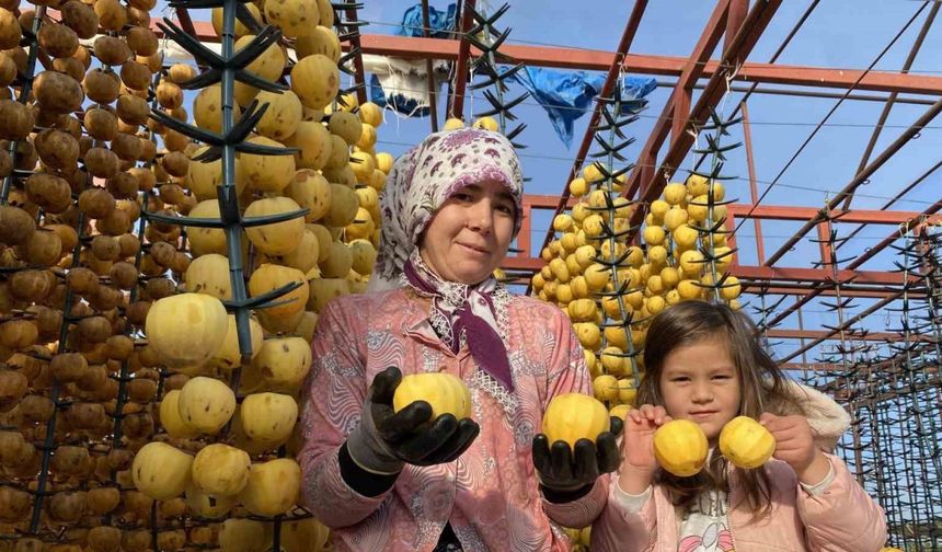 Alaşehir’de ilk kez ’Cennet Hurması Festivali’ düzenlenecek