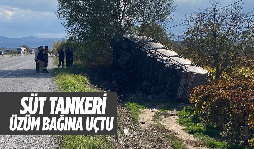 Alaşehir’de süt tankeri üzüm bağına uçtu