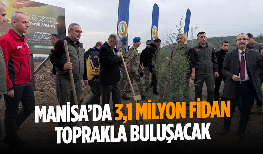 Manisa’da 2025 sonuna kadar 3,1 milyon fidan toprakla buluşacak