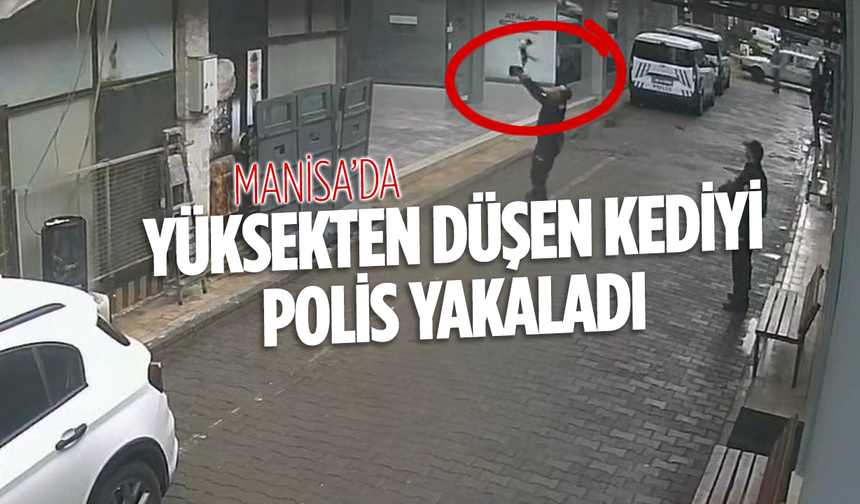 Manisa’da yürekleri ısıtan anlar: Yüksekten düşen kediyi polis yakaladı