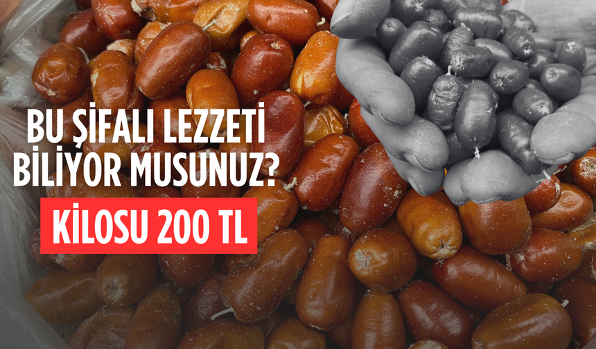 Alaşehir’de iğde ağaçlarının sayısı her geçen gün azalıyor