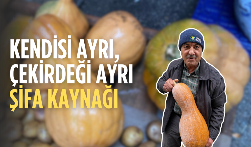 Kendisi ayrı, çekirdeği ayrı şifa kaynağı