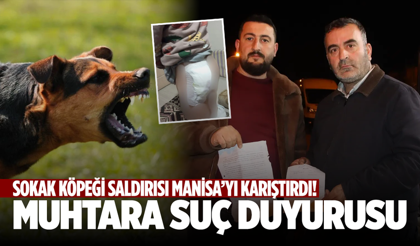 2 çocuğa saldıran köpeği yakalayan muhtara suç duyurusunda bulundular!