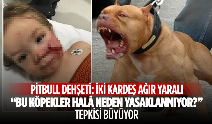 “Bu Köpekler Hâlâ Neden Yasaklanmıyor?” Tepkisi Büyüyor