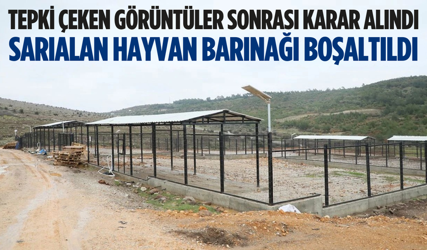 Tepki çeken görüntüler sonrası Sarıalan Hayvan Barınağı boşaltıldı