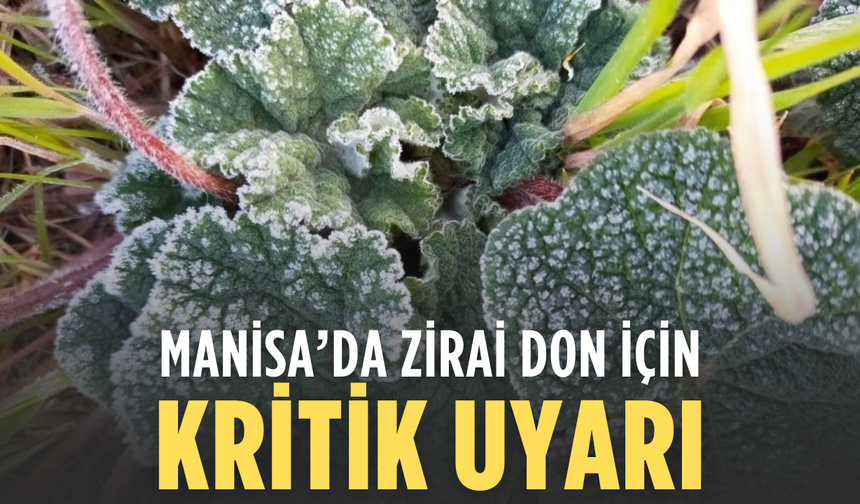 Meteoroloji’den Zirai Don Uyarısı: Çarşambaya Kadar Etkili Olacak