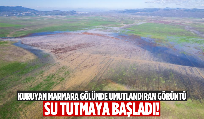 Kuruyan Marmara Gölünde umutlandıran görüntü