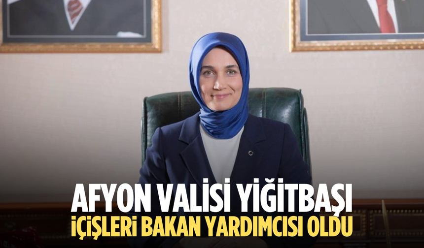 Afyon valisi Yiğitbaşı İçişleri bakan yardımcısı oldu