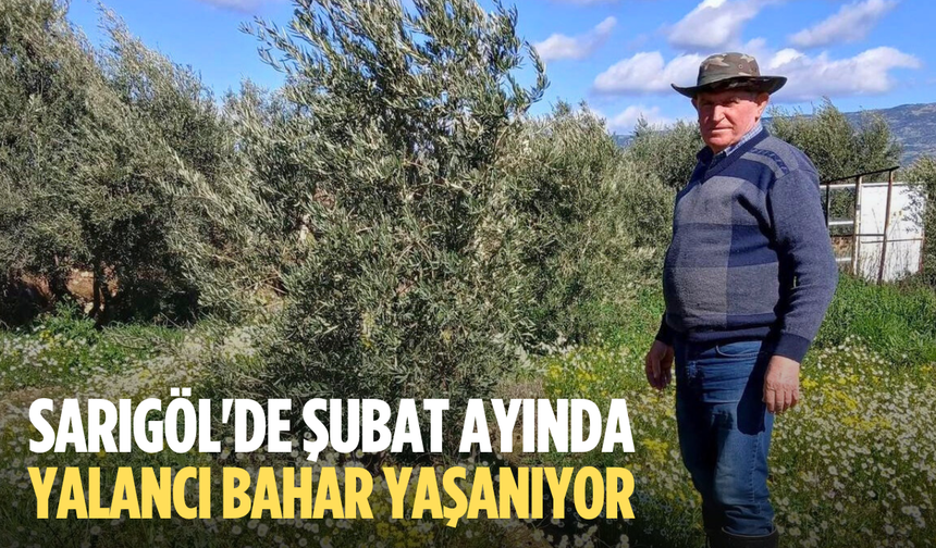 Sarıgöl'de şubat ayında yalancı bahar yaşanıyor