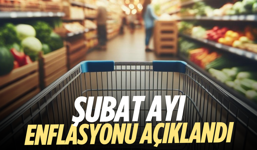 Şubat ayı enflasyonu açıklandı