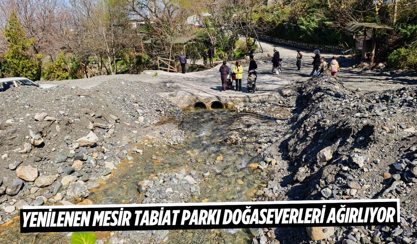 Yenilenen Mesir Tabiat Parkı doğaseverleri ağırlıyor