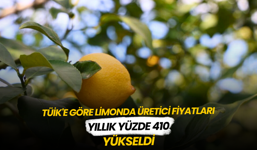 TÜİK'e göre limonda üretici fiyatları yıllık yüzde 410 yükseldi