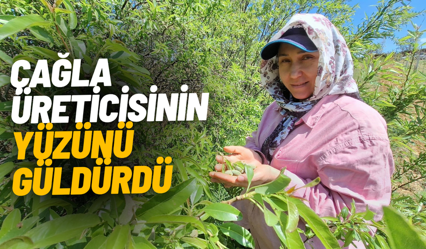 Çağla, üreticisinin yüzünü güldürdü