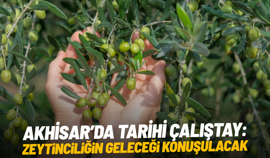 Akhisar’da zeytin çalıştayı başlıyor
